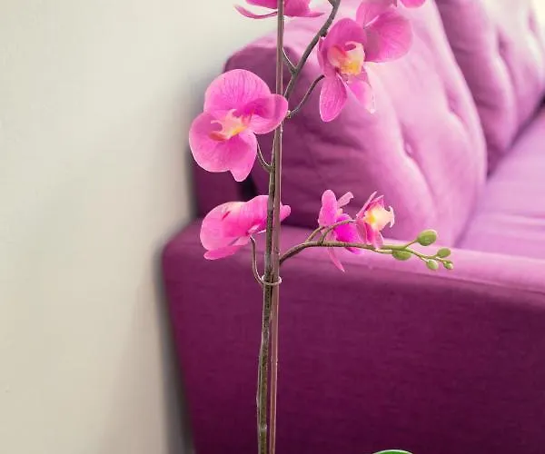 Apartamento Andriana Centre Flat