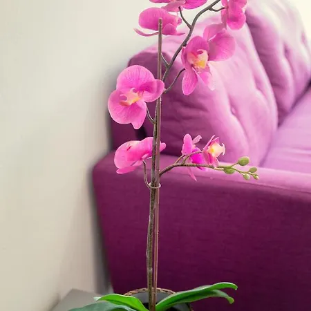 Appartement Andriana Centre Flat