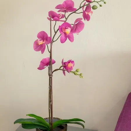 Appartement Andriana Centre Flat Larnaca